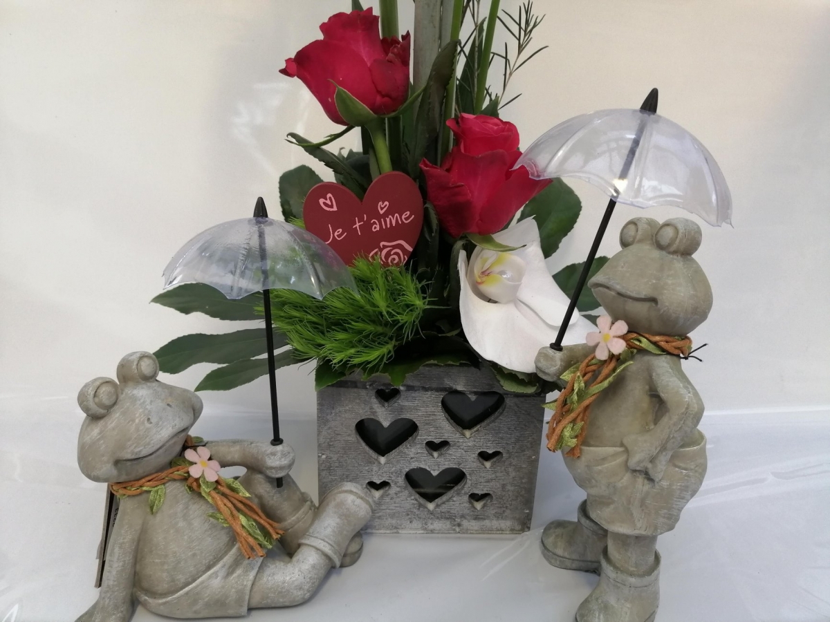 Espace plantes