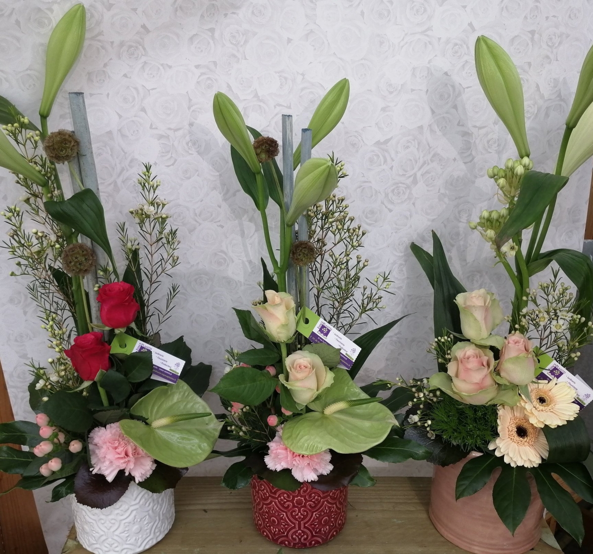 Espace plantes