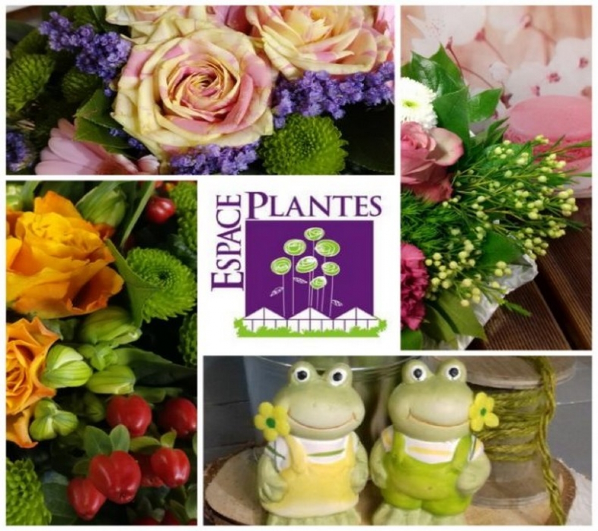 ESPACE PLANTES