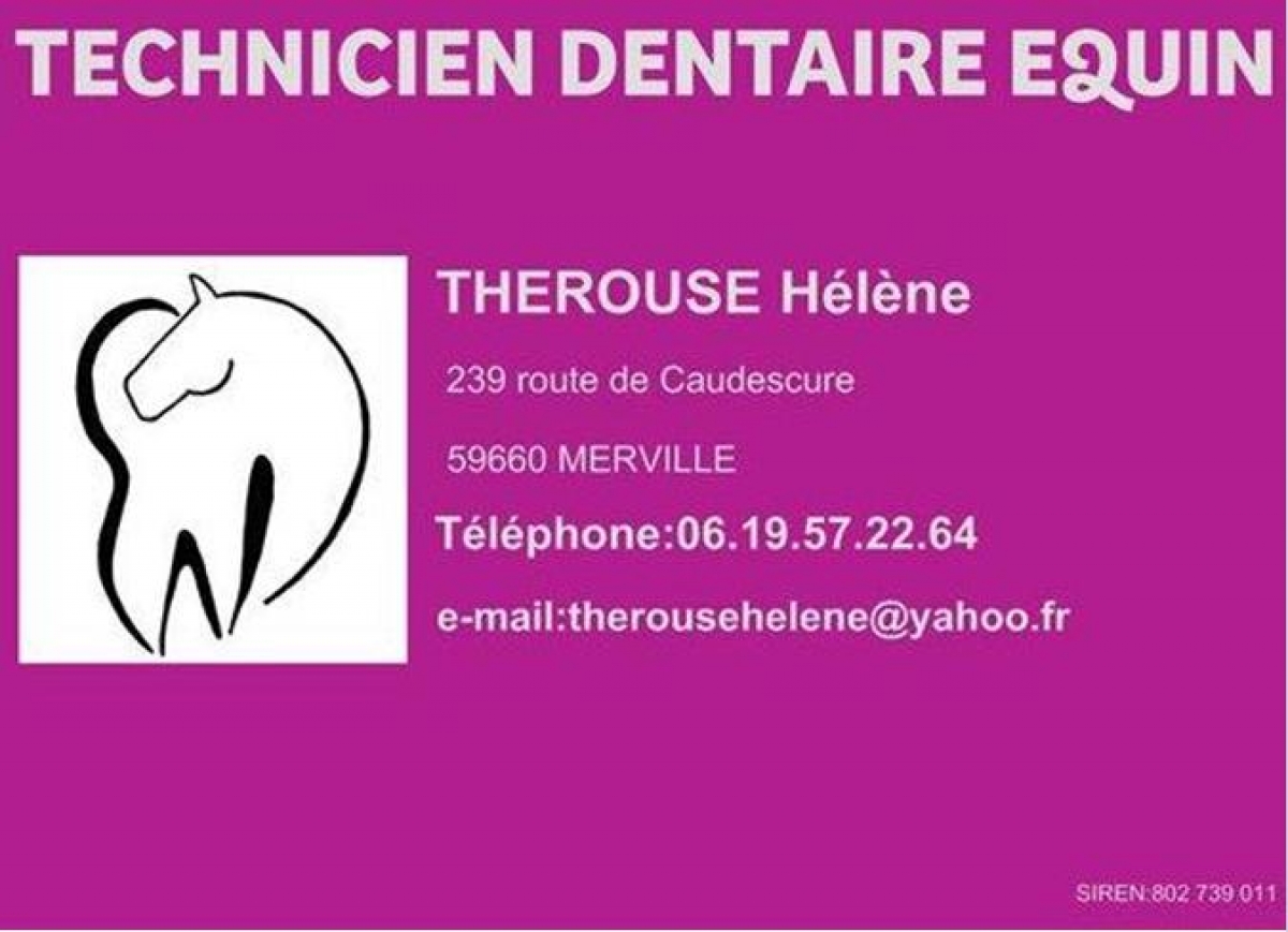 Therouse HÃ©lÃ¨ne (technicien dentaire Ã©quin)