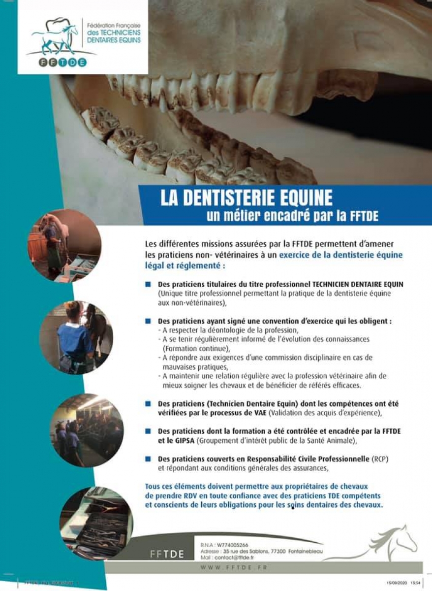 Therouse HÃ©lÃ¨ne (technicien dentaire Ã©quin)