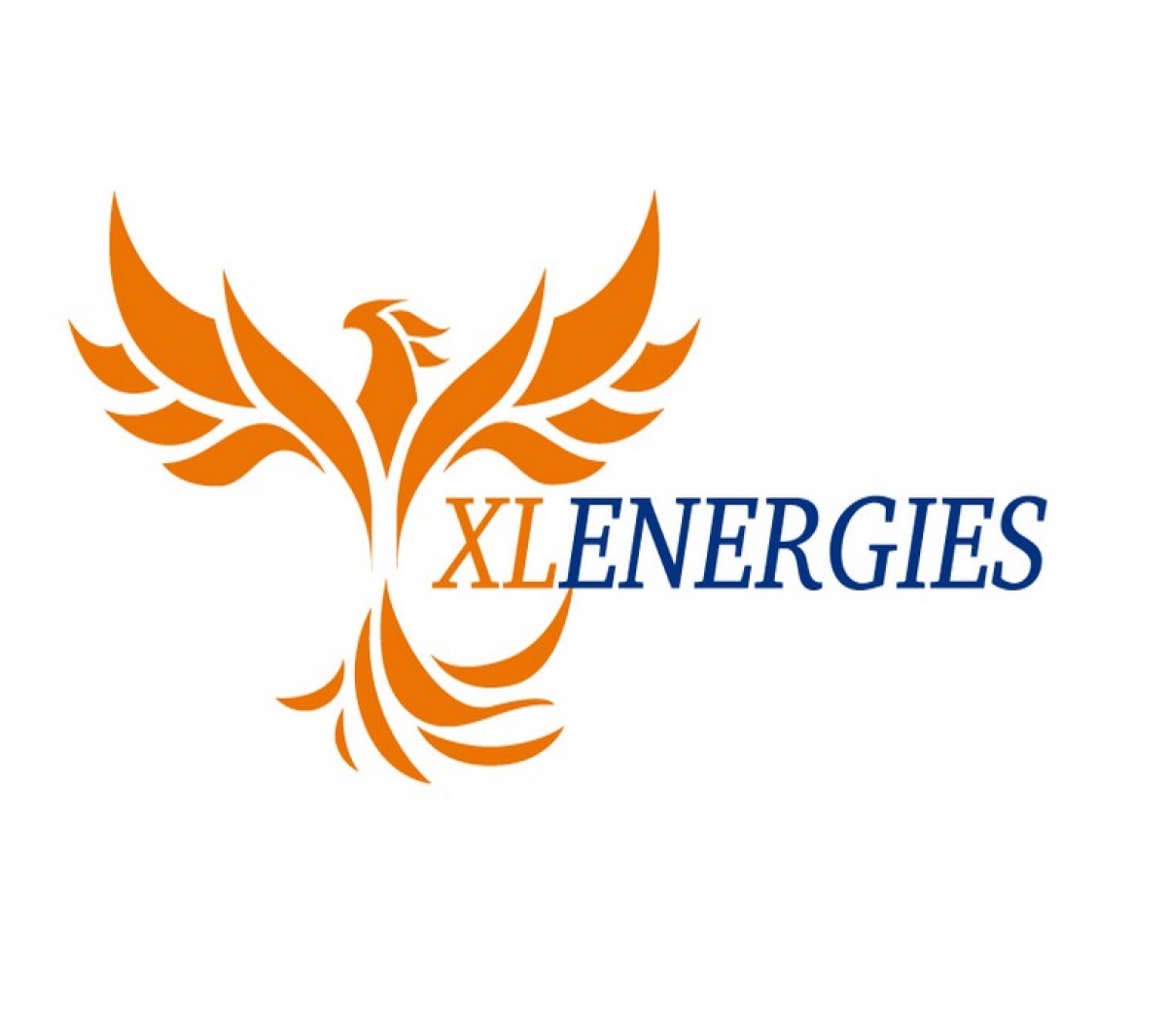 XL ENERGIES